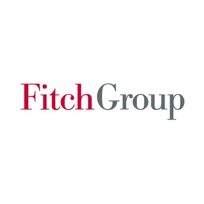Fitch Group Business Cards